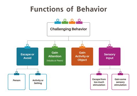 Start Here Roadmap To Behavior Support Mah Behavior Support Medium