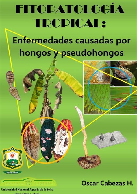 Guía completa sobre hongos y enfermedades foliares causas síntomas y