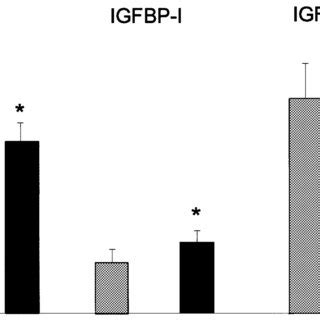 Insulin Like Growth Factor I Igf I Igf Binding Protein Bp And