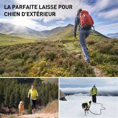 Longe Pour Chien M Long Laisse Chien Corde Avec Poign E Rembourr E