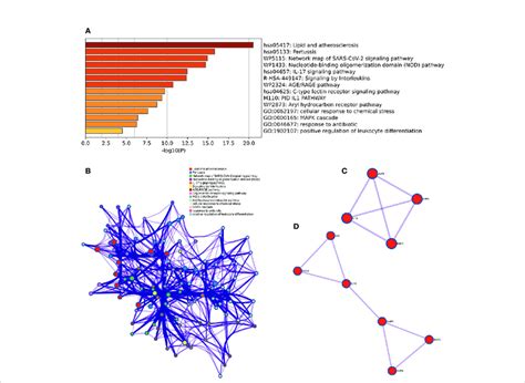 Metascape Analysis Of Hub Genes A Pathway And Process Richness