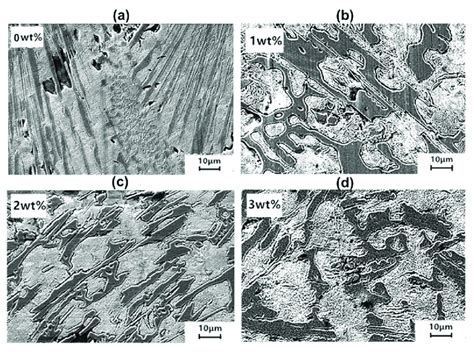 Microstructures Of The White Cast Iron Specimens With A 0 Wt Ti 3 Download Scientific