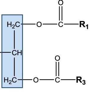 General Structure Of A Triacylglycerol Tag Molecule Fatty Acids R