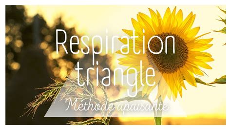 Respiration Triangle Apaisante Min Methode Calmante Tournesol