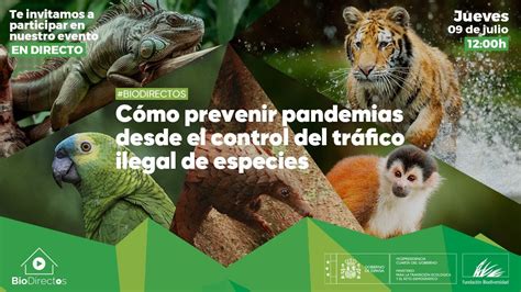 Biodirectos Cómo Prevenir Pandemias Desde El Control Del Tráfico