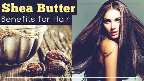 Benefits Of Shea Butter For Hair YouTube