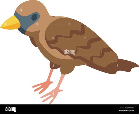 Cute Sparrow Icon Isometric Vector Tree Bird Branch Fly Stock Vector