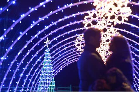 8 Ways Asheville Sparkles for the Holidays | Train rides, Asheville ...