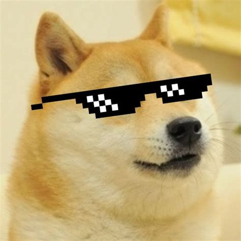 doge Blank Template - Imgflip