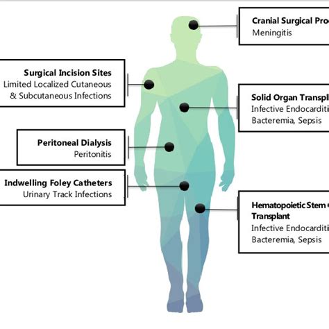 Medical Therapies Indicated for VRE infections. | Download Scientific ...