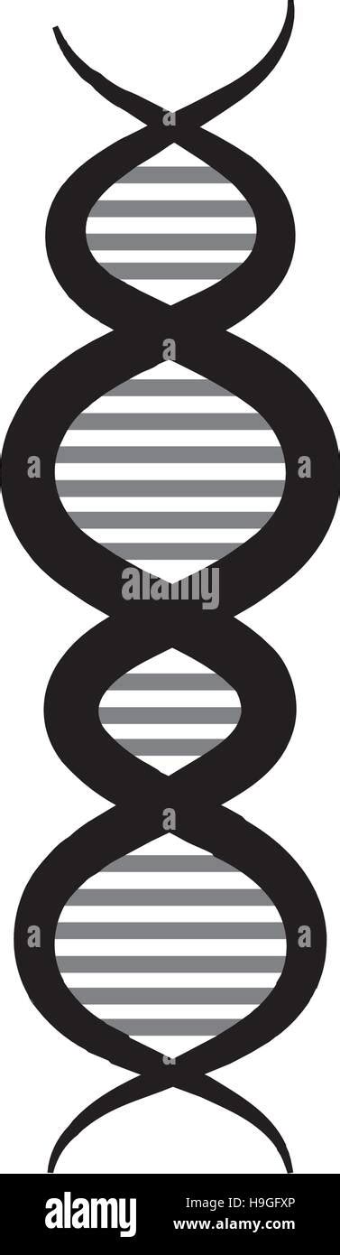 Molecular structure of DNA vector illustration design Stock Vector ...