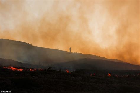 Arsonist Caught By Drone Starting Wildfires In Italy Daily Mail Online