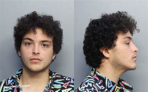 Espina Silva Stefan Miami Dade County Mugshots Zone