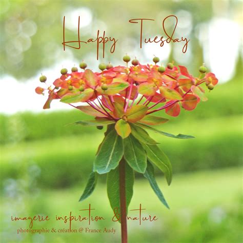 Inspire Positive Soul Sensations