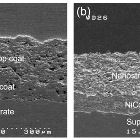 A FESEM Polished Cross Section Micrographs Of As Sprayed TBC With