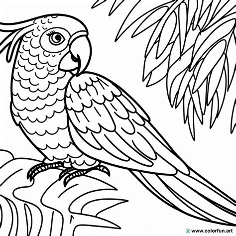 Coloriage d un perroquet tropical à Télécharger ou à Imprimer gratuitement