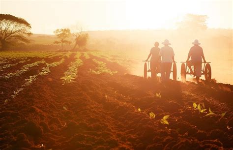 Premium Photo Happy Brazilian Planter Farmers Using Plows To Prepare