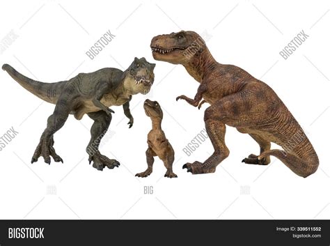 Family Tyrannosaurus Image & Photo (Free Trial) | Bigstock