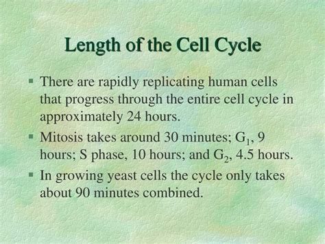 PPT Chapter 21 Regulation Of The Eukaryotic Cell Cycle PowerPoint