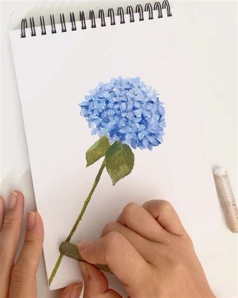 Milky Why On Instagram How To Draw A Hydrangea With Oil Pastels