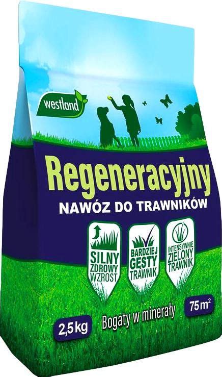 Naw Z Do Trawy Trawnik W Regeneracyjny Kg Westland Erli Pl