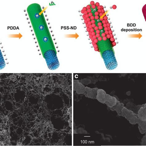 A Schematic Representation Of The Bddcnt Core Shell Hybrid Nanowire Download Scientific