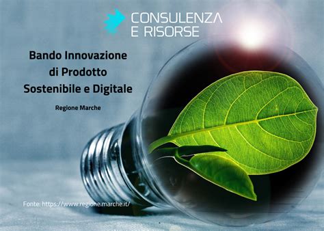 Innovazione E Sostenibilità Bando Digitale Consulenza E Risorse