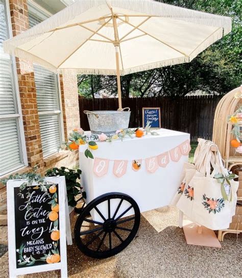 15 Dreamy Backyard Baby Shower Ideas The Greenspring Home