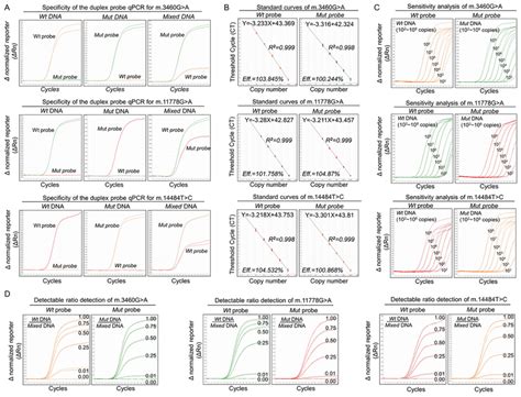 Duplex Taqman Mgb Probe Qpcr For Three Lhon Mtdna Mutations The Duplex