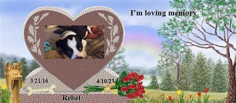 Rebel S Rainbow Bridge Pet Loss Memorial