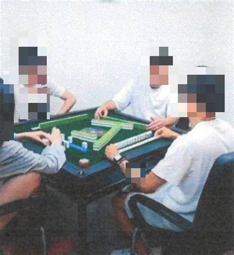 掛羊頭賣狗肉！合法棋牌社假切磋真賭博 中警迄今抓8件177人 社會 自由時報電子報