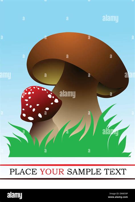 Two Forest Mushrooms Vector Illustration Stock Vector Image Art Alamy