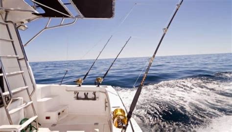 Best Tuna Fishing Reels: A Guide to the Top 8 Models