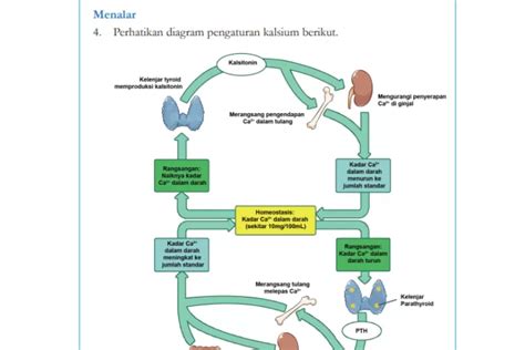 Contoh Soal Pts Uts Mapel Ipa Kelas Semester Kurikulum Merdeka