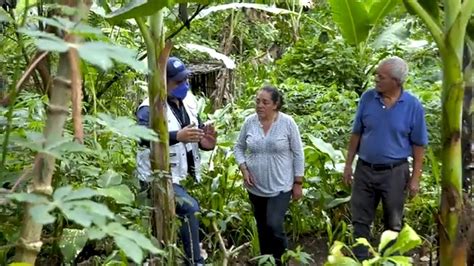 Gobierno Guatemala on Twitter JuntosVamosPorMás El programa de