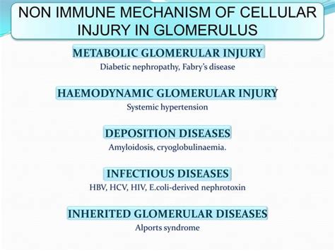 Glomerular Diseases Ppt