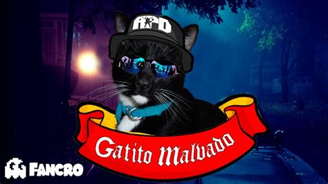 Perrito Malvado Versi N Gatuna Youtube