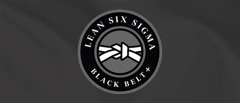 Lean Six Sigma Black Belt