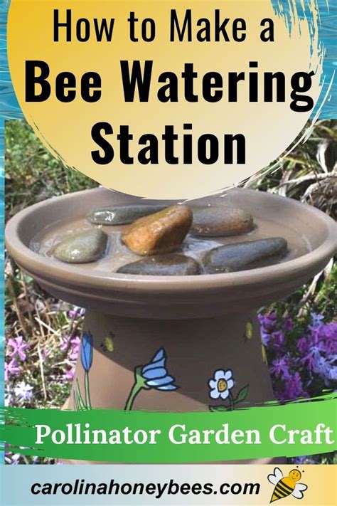 How To Make A Bee Watering Station Carolina Honeybees Pollinator