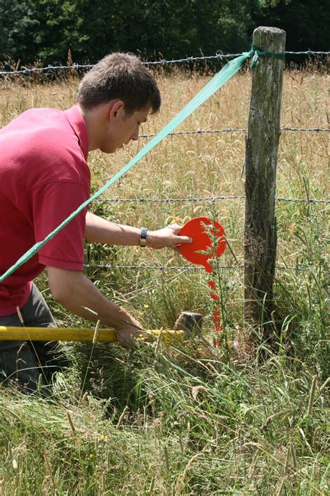 Bornage du terrain Géomètre expert Limites Faire construire sa maison