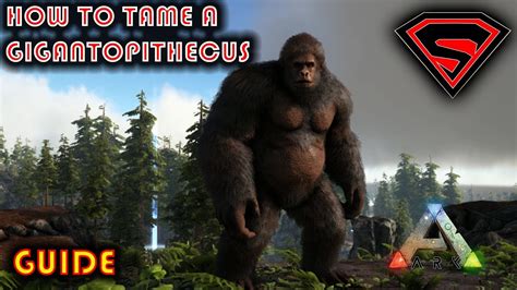 Gigantopithecus