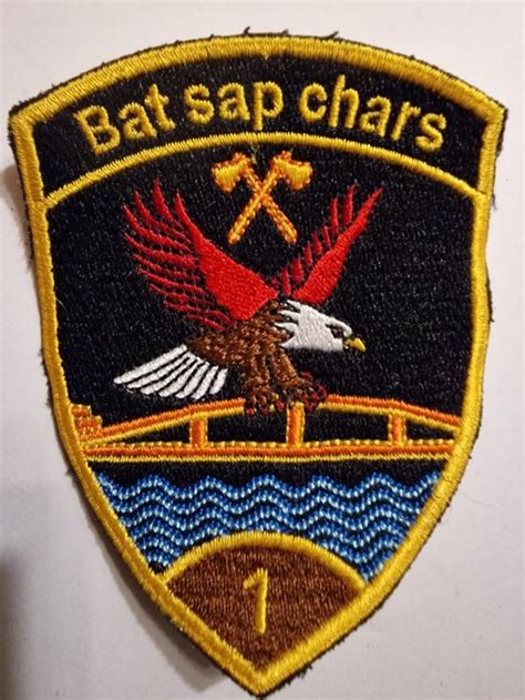 Génie Badge Panzer Sap Chars Bat 1 Braun Kaufen auf Ricardo