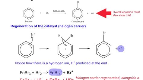 Halogenation Of Benzene Mechanism