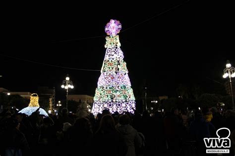 Acceso Lalbero Di Natale Di Bisceglie Le Foto