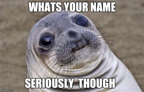 Awkward Moment Sealion Meme Imgflip