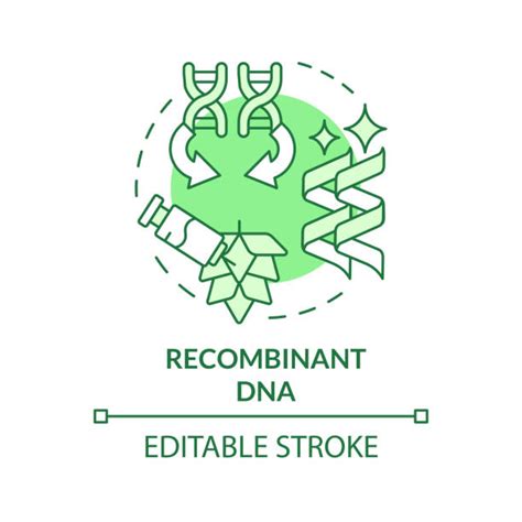 40 Recombinant Dna Stock Illustrations Royalty Free Vector Graphics