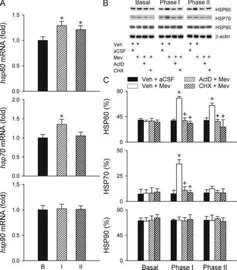 The Augmented Hsp60 Or Hsp70 Expression In Ventrolateral Medulla During