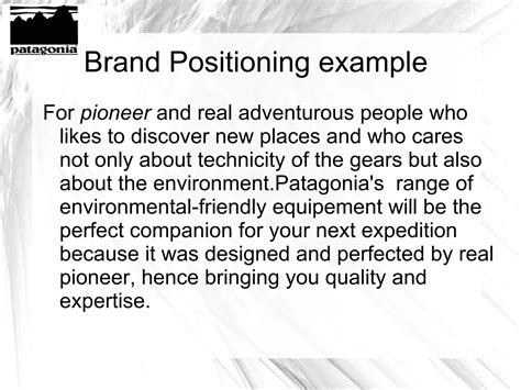 Positioning salomon vs. patagonia | ODP