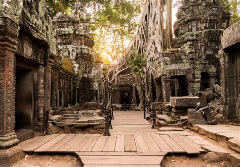 Ta Prohm Temple Cambodia Tomb Raider Temple And A Must Visit Temple