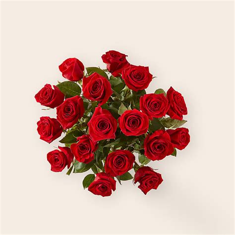 Long Stem Red Rose Bouquet